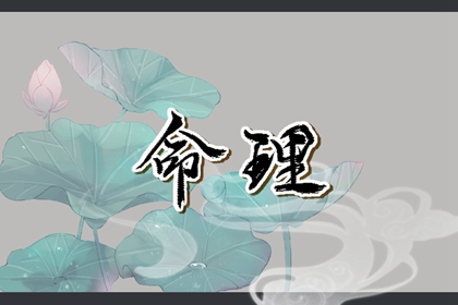 日历|今日日历|日历表